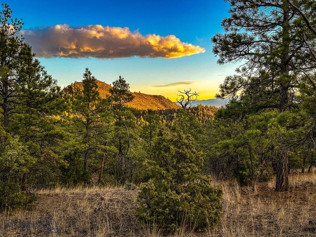 6245 McGee Lane, Helena, MT 59602