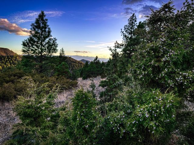 6245 McGee Lane, Helena, MT 59602