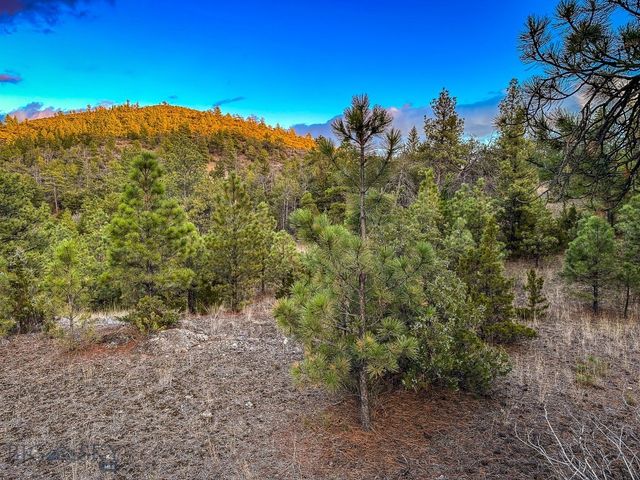 6245 McGee Lane, Helena, MT 59602