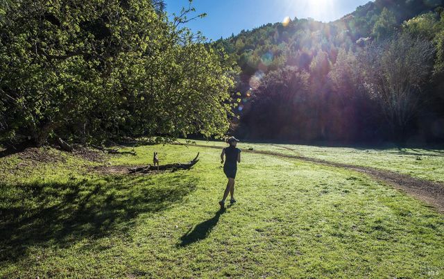 142 Dominga Ave, Fairfax, CA 94930