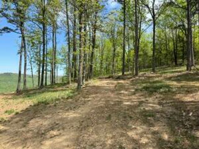 Tract I AR 7 South, Jasper, AR 72641