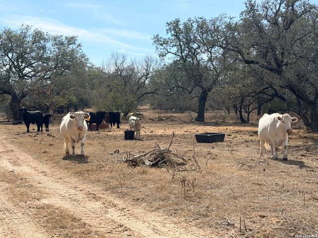 1140 County Road 765, Moore, TX 78057