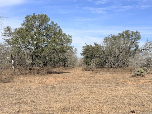 1140 County Road 765, Moore, TX 78057