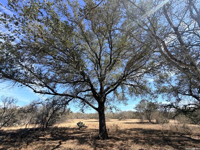 1140 County Road 765, Moore, TX 78057