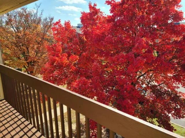 6 Highland Meadows Drive, 9, Highland Heights, KY 41076