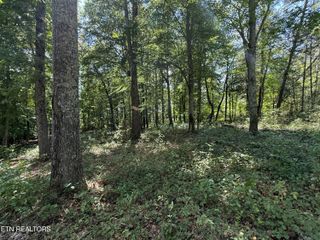 140 Padstow Lane, Lenoir City, TN 37772