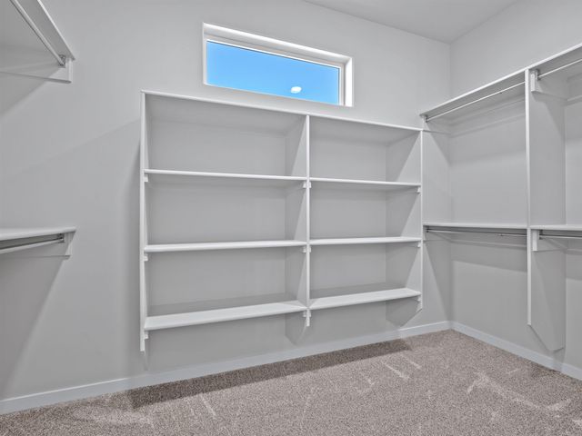 221 Shadow Mesa Street, Grand Junction, CO 81503