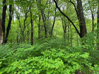 66 Union City Road, Prospect, CT 06712