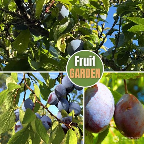 6015 116th Ave SE, Bellevue, WA 98006