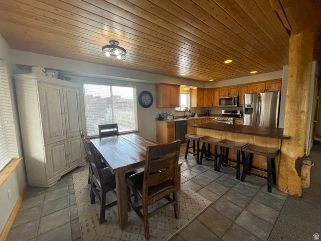 272 CLARK AVE, Fish Haven, ID 83287