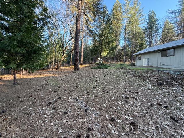 75 Sandy Gulch Ln, West Point, CA 95255