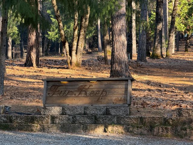 75 Sandy Gulch Ln, West Point, CA 95255