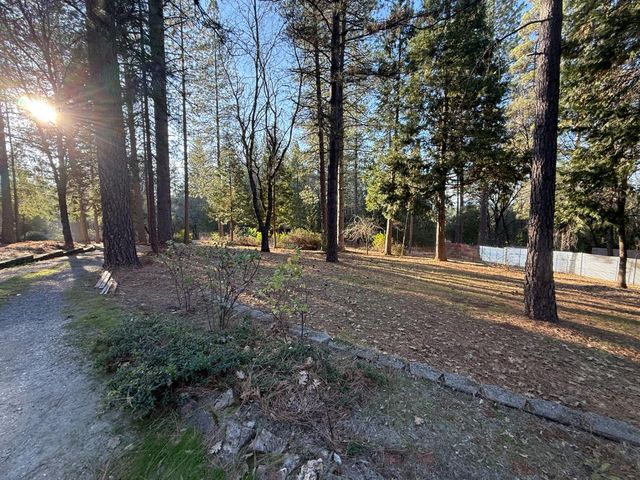 75 Sandy Gulch Ln, West Point, CA 95255