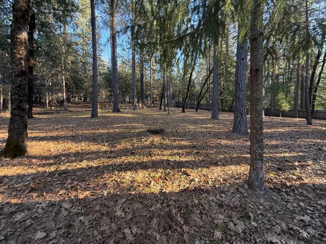 75 Sandy Gulch Ln, West Point, CA 95255