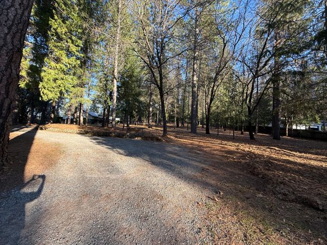 75 Sandy Gulch Ln, West Point, CA 95255