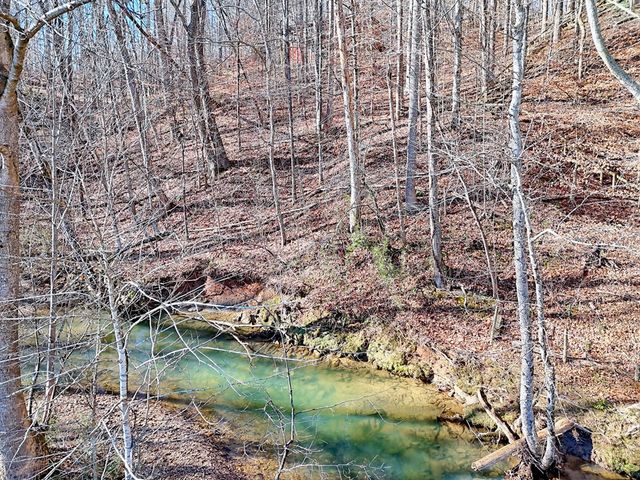 5827 Brasstown Creek Est, Young Harris, GA 30582