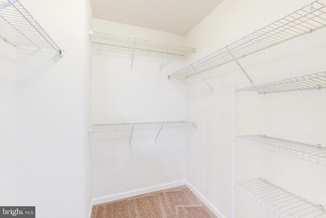 25767 DOUBLE BRIDLE TER, Aldie, VA 20105