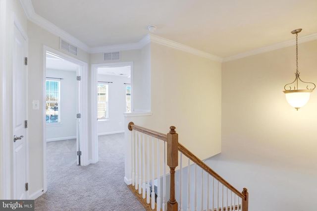 25767 DOUBLE BRIDLE TER, Aldie, VA 20105