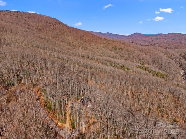 252 Idylwild Lane, Black Mountain, NC 28711