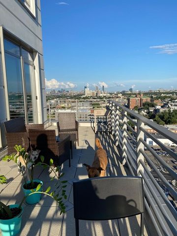 125 Guest St. 1703, Boston, MA 02135