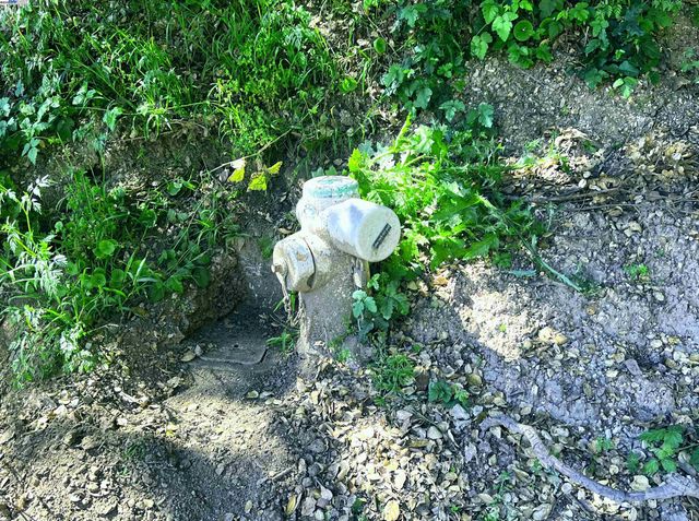 00 Willowbank Ct, Oakland, CA 94611