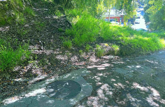 00 Willowbank Ct, Oakland, CA 94611