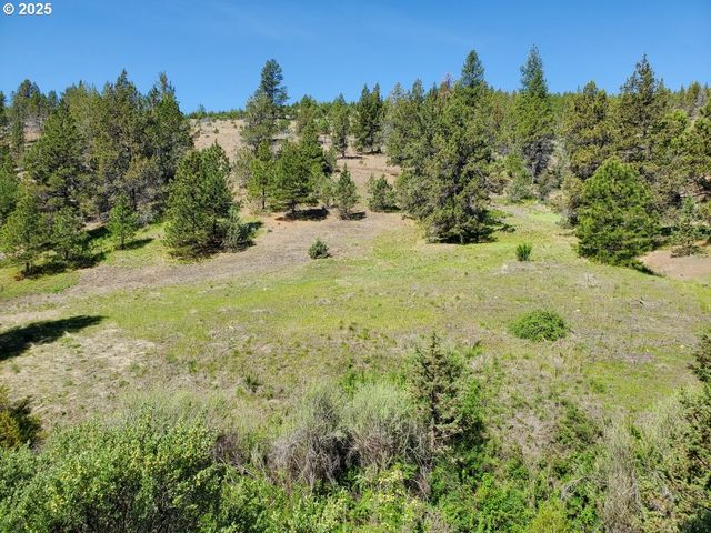 WILEY CREEK ROAD, Dayville, OR 97825