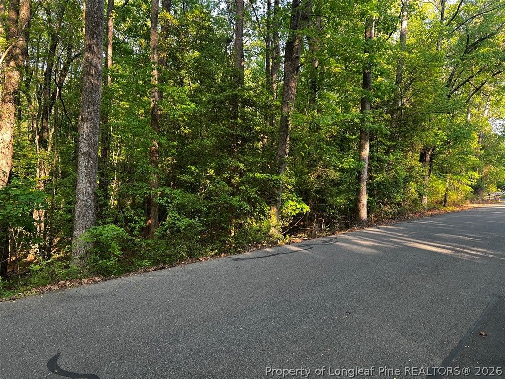 1009 Windrace Trail, Sanford, NC 27332 — exterior