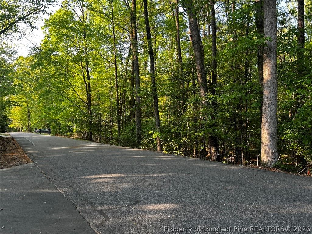 1009 Windrace Trail, Sanford, NC 27332 — photo 2
