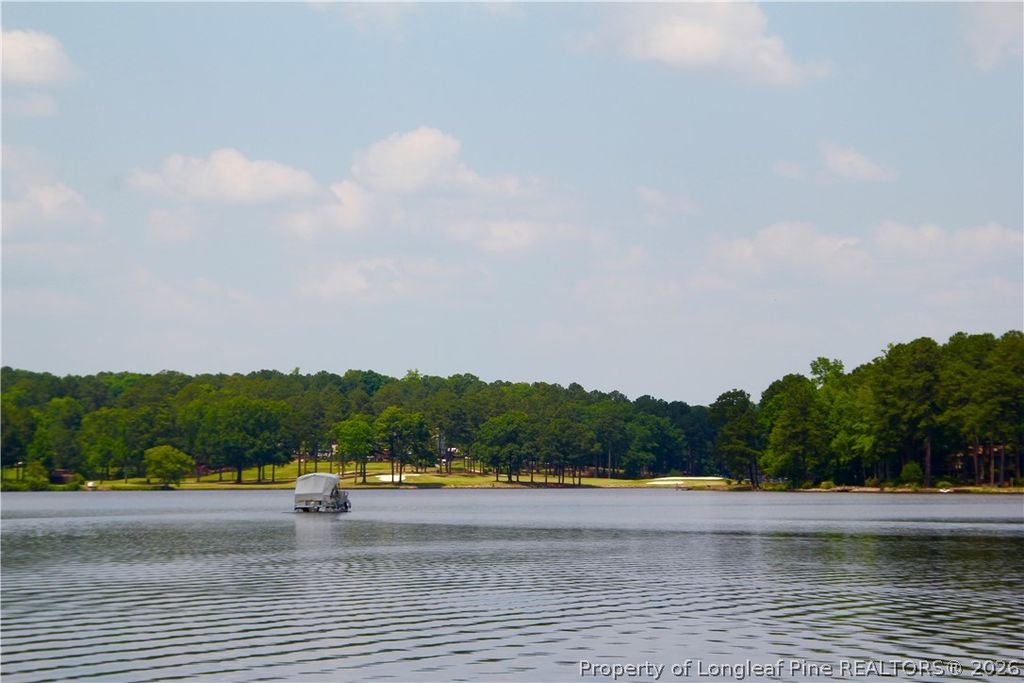 1009 Windrace Trail, Sanford, NC 27332 — photo 5