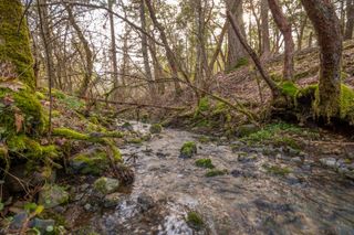 1224 W Jones Creek Road Lot 2, Grants Pass, OR 97526