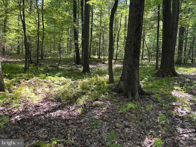 0 TREICHLER RD, Alburtis, PA 18011