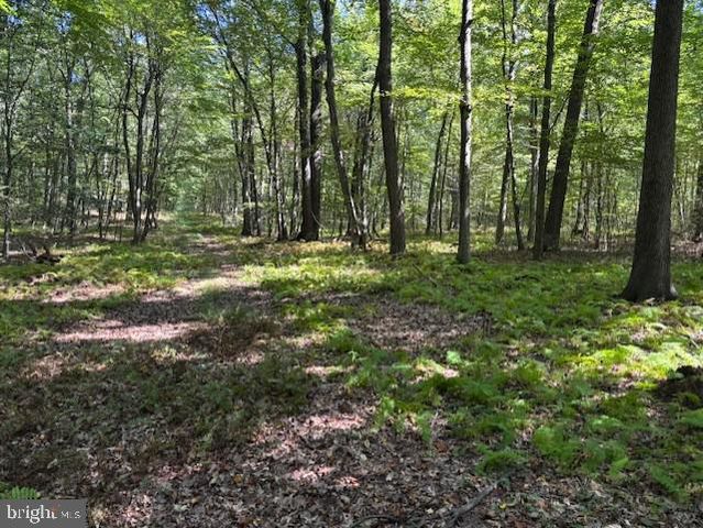 0 TREICHLER RD, Alburtis, PA 18011