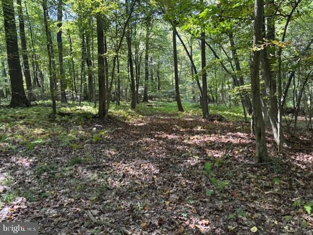 0 TREICHLER RD, Alburtis, PA 18011