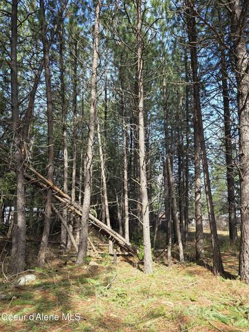 NNA 9th Street, Spirit Lake, ID 83869