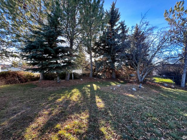 310 COURT ST, Soda Springs, ID 83276