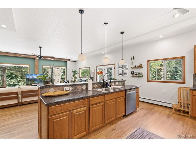 384 Brookside Dr, Bailey, CO 80421