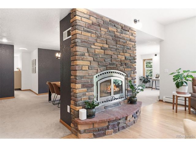 384 Brookside Dr, Bailey, CO 80421