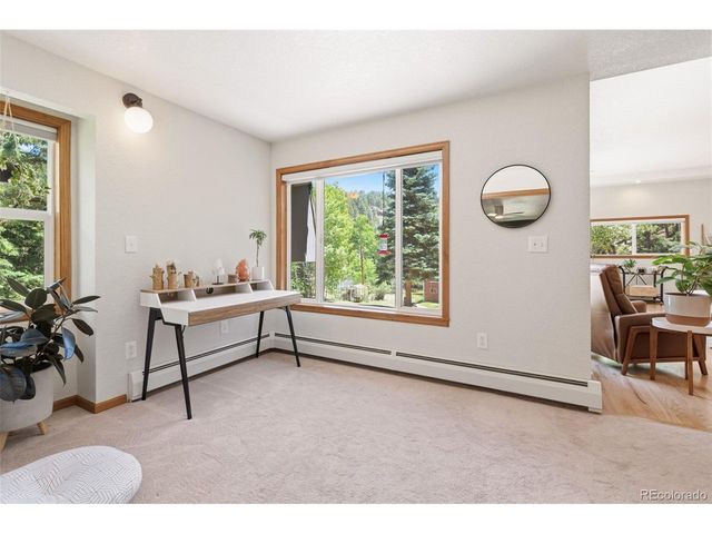 384 Brookside Dr, Bailey, CO 80421