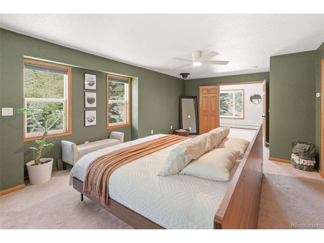384 Brookside Dr, Bailey, CO 80421