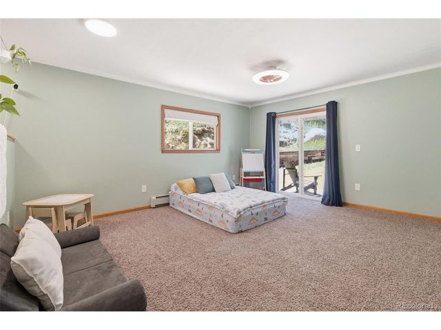 384 Brookside Dr, Bailey, CO 80421