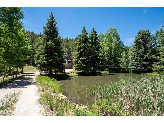 384 Brookside Dr, Bailey, CO 80421