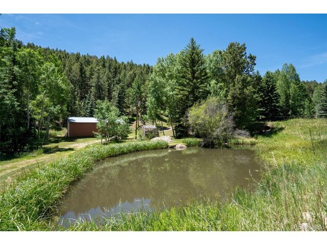 384 Brookside Dr, Bailey, CO 80421