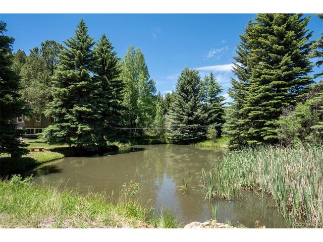 384 Brookside Dr, Bailey, CO 80421