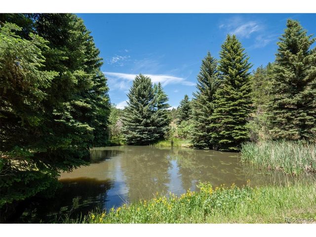 384 Brookside Dr, Bailey, CO 80421
