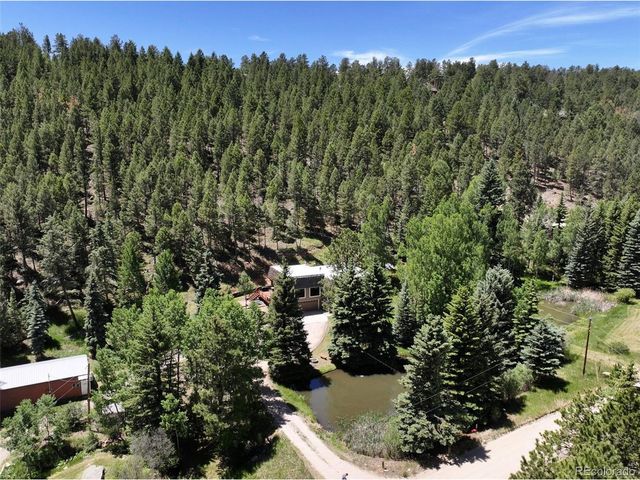 384 Brookside Dr, Bailey, CO 80421