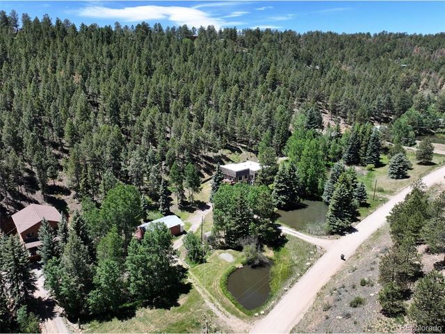 384 Brookside Dr, Bailey, CO 80421