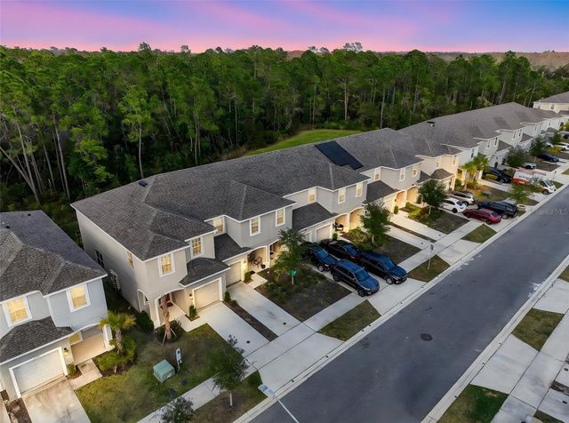 3583 DAVENPORT CREEK COURT, Kissimmee, FL 34746