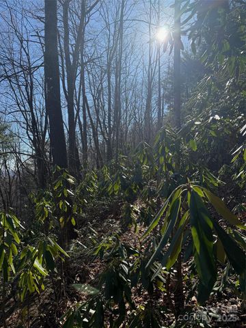 0 Old Sampson Road, Lenoir, NC 28645