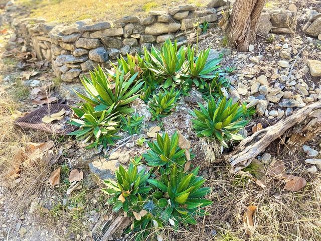 204 Aqua Vista Dr, Kerrville, TX 78028